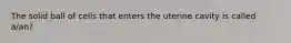 The solid ball of cells that enters the uterine cavity is called a/an?