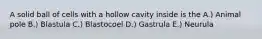 A solid ball of cells with a hollow cavity inside is the A.) Animal pole B.) Blastula C.) Blastocoel D.) Gastrula E.) Neurula