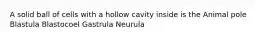 A solid ball of cells with a hollow cavity inside is the Animal pole Blastula Blastocoel Gastrula Neurula