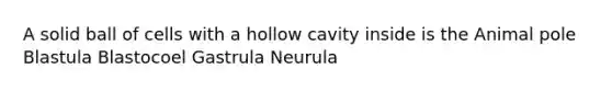 A solid ball of cells with a hollow cavity inside is the Animal pole Blastula Blastocoel Gastrula Neurula