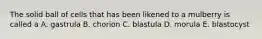The solid ball of cells that has been likened to a mulberry is called a A. gastrula B. chorion C. blastula D. morula E. blastocyst