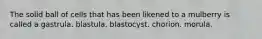 The solid ball of cells that has been likened to a mulberry is called a gastrula. blastula. blastocyst. chorion. morula.