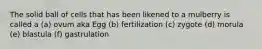 The solid ball of cells that has been likened to a mulberry is called a (a) ovum aka Egg (b) fertilization (c) zygote (d) morula (e) blastula (f) gastrulation