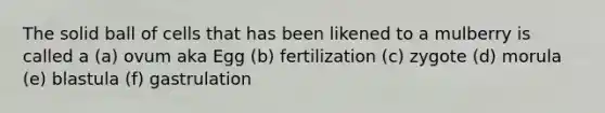 The solid ball of cells that has been likened to a mulberry is called a (a) ovum aka Egg (b) fertilization (c) zygote (d) morula (e) blastula (f) gastrulation