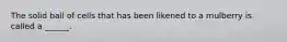 The solid ball of cells that has been likened to a mulberry is called a ______.