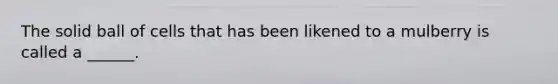 The solid ball of cells that has been likened to a mulberry is called a ______.