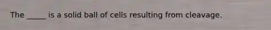 The _____ is a solid ball of cells resulting from cleavage.