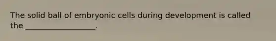 The solid ball of embryonic cells during development is called the __________________.