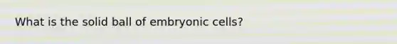 What is the solid ball of embryonic cells?