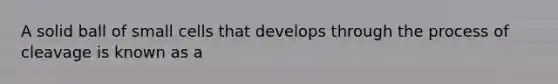 A solid ball of small cells that develops through the process of cleavage is known as a