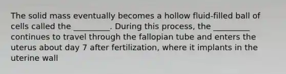 The solid mass eventually becomes a hollow fluid-filled ball of cells called the _________. During this process, the _________ continues to travel through the fallopian tube and enters the uterus about day 7 after fertilization, where it implants in the uterine wall