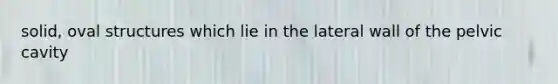 solid, oval structures which lie in the lateral wall of the pelvic cavity