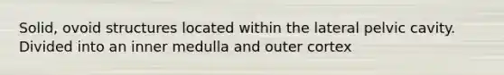Solid, ovoid structures located within the lateral pelvic cavity. Divided into an inner medulla and outer cortex