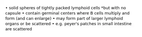 • solid spheres of tightly packed lymphoid cells *but with no capsule • contain germinal centers where B cells multiply and form (and can enlarge) • may form part of larger lymphoid organs or be scattered • e.g. peyer's patches in small intestine are scattered