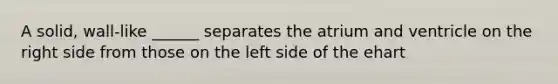 A solid, wall-like ______ separates the atrium and ventricle on the right side from those on the left side of the ehart