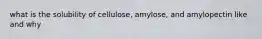 what is the solubility of cellulose, amylose, and amylopectin like and why