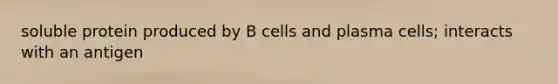 soluble protein produced by B cells and plasma cells; interacts with an antigen