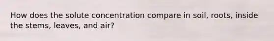 How does the solute concentration compare in soil, roots, inside the stems, leaves, and air?