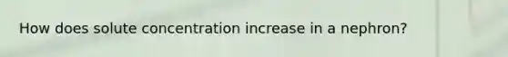 How does solute concentration increase in a nephron?