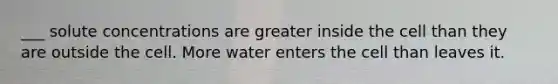 ___ solute concentrations are greater inside the cell than they are outside the cell. More water enters the cell than leaves it.