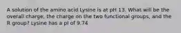 A solution of the amino acid Lysine is at pH 13. What will be the overall charge, the charge on the two functional groups, and the R group? Lysine has a pI of 9.74