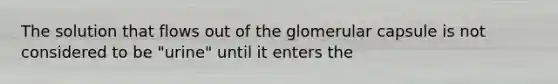 The solution that flows out of the glomerular capsule is not considered to be "urine" until it enters the