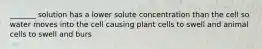 _______ solution has a lower solute concentration than the cell so water moves into the cell causing plant cells to swell and animal cells to swell and burs