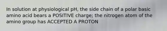 In solution at physiological pH, the side chain of a polar basic amino acid bears a POSITIVE charge; the nitrogen atom of the amino group has ACCEPTED A PROTON