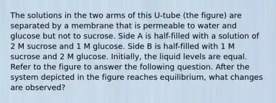 The solutions in the two arms of this U-tube (the figure) are separated by a membrane that is permeable to water and glucose but not to sucrose. Side A is half-filled with a solution of 2 M sucrose and 1 M glucose. Side B is half-filled with 1 M sucrose and 2 M glucose. Initially, the liquid levels are equal. Refer to the figure to answer the following question. After the system depicted in the figure reaches equilibrium, what changes are observed?