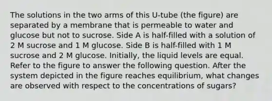 The solutions in the two arms of this U-tube (the figure) are separated by a membrane that is permeable to water and glucose but not to sucrose. Side A is half-filled with a solution of 2 M sucrose and 1 M glucose. Side B is half-filled with 1 M sucrose and 2 M glucose. Initially, the liquid levels are equal. Refer to the figure to answer the following question. After the system depicted in the figure reaches equilibrium, what changes are observed with respect to the concentrations of sugars?