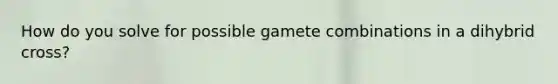 How do you solve for possible gamete combinations in a dihybrid cross?