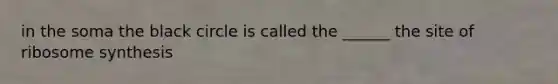 in the soma the black circle is called the ______ the site of ribosome synthesis