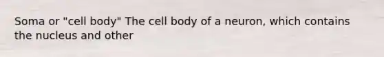 Soma or "cell body" The cell body of a neuron, which contains the nucleus and other