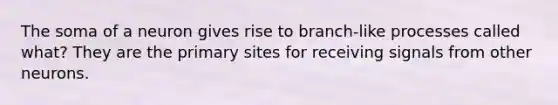 The soma of a neuron gives rise to branch-like processes called what? They are the primary sites for receiving signals from other neurons.