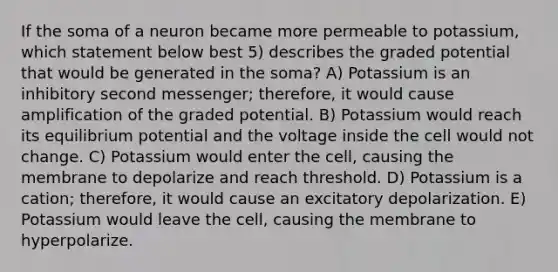 If the soma of a neuron became more permeable to potassium, which statement below best 5) describes the graded potential that would be generated in the soma? A) Potassium is an inhibitory second messenger; therefore, it would cause amplification of the graded potential. B) Potassium would reach its equilibrium potential and the voltage inside the cell would not change. C) Potassium would enter the cell, causing the membrane to depolarize and reach threshold. D) Potassium is a cation; therefore, it would cause an excitatory depolarization. E) Potassium would leave the cell, causing the membrane to hyperpolarize.