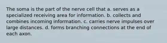 The soma is the part of the nerve cell that a. serves as a specialized receiving area for information. b. collects and combines incoming information. c. carries nerve impulses over large distances. d. forms branching connections at the end of each axon.