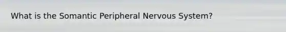 What is the Somantic Peripheral Nervous System?