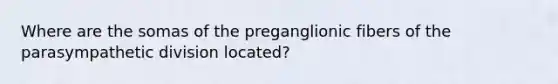 Where are the somas of the preganglionic fibers of the parasympathetic division located?