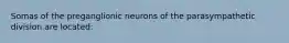 Somas of the preganglionic neurons of the parasympathetic division are located: