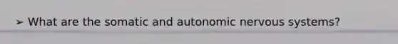 ➢ What are the somatic and autonomic <a href='https://www.questionai.com/knowledge/kThdVqrsqy-nervous-system' class='anchor-knowledge'>nervous system</a>s?