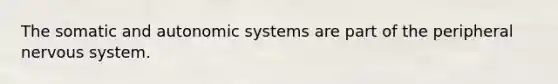 The somatic and autonomic systems are part of the peripheral nervous system.