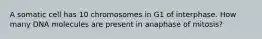 A somatic cell has 10 chromosomes in G1 of interphase. How many DNA molecules are present in anaphase of mitosis?