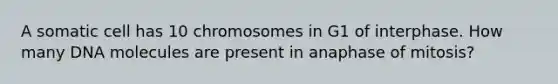 A somatic cell has 10 chromosomes in G1 of interphase. How many DNA molecules are present in anaphase of mitosis?