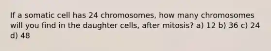 If a somatic cell has 24 chromosomes, how many chromosomes will you find in the daughter cells, after mitosis? a) 12 b) 36 c) 24 d) 48