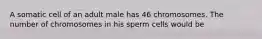 A somatic cell of an adult male has 46 chromosomes. The number of chromosomes in his sperm cells would be