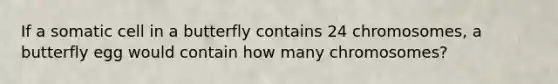 If a somatic cell in a butterfly contains 24 chromosomes, a butterfly egg would contain how many chromosomes?