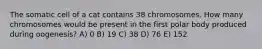 The somatic cell of a cat contains 38 chromosomes. How many chromosomes would be present in the first polar body produced during oogenesis? A) 0 B) 19 C) 38 D) 76 E) 152