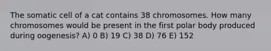 The somatic cell of a cat contains 38 chromosomes. How many chromosomes would be present in the first polar body produced during oogenesis? A) 0 B) 19 C) 38 D) 76 E) 152