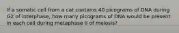 If a somatic cell from a cat contains 40 picograms of DNA during G2 of interphase, how many picograms of DNA would be present in each cell during metaphase II of meiosis?