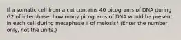 If a somatic cell from a cat contains 40 picograms of DNA during G2 of interphase, how many picograms of DNA would be present in each cell during metaphase II of meiosis? (Enter the number only, not the units.)